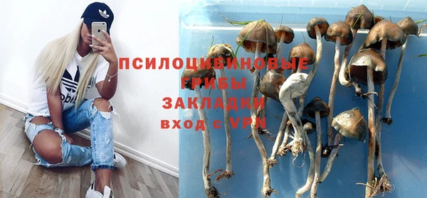 мяу мяу мука Арсеньев